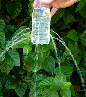 diy-plastic-bottle-sprinkler