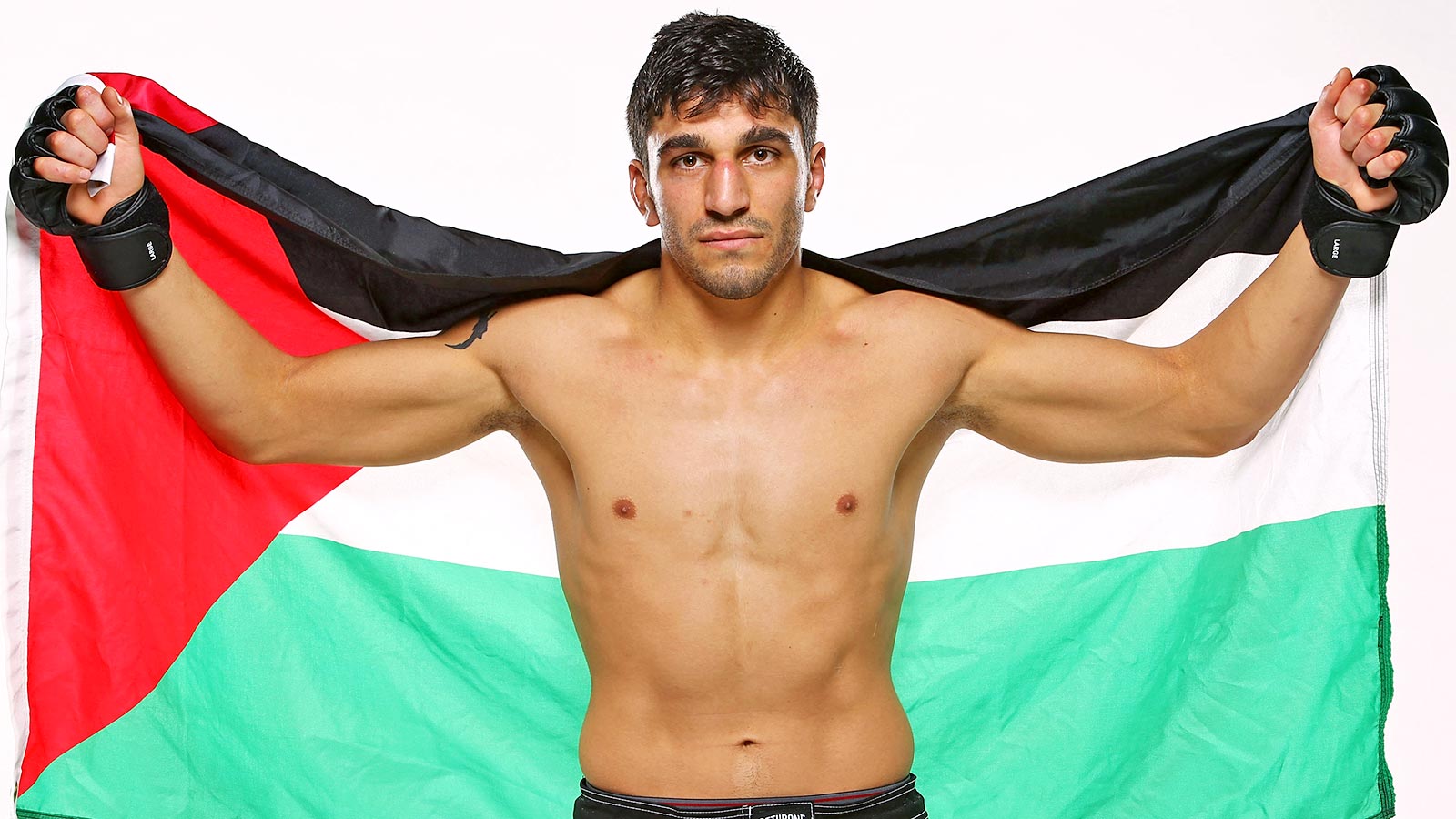 UFC Fighter Portraits