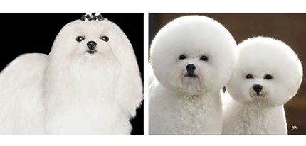 The 9 Stages of Women’s Hair on a Humid Day