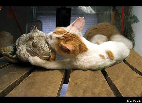 2484_4435_13032012_10