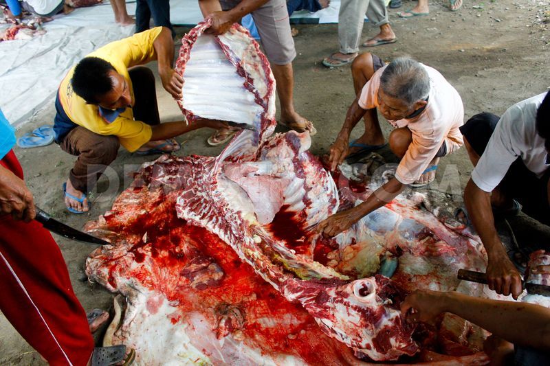 1351245057-indonesian-muslims-slaughter-animals-to-celebrate-eid-aladha_1550199