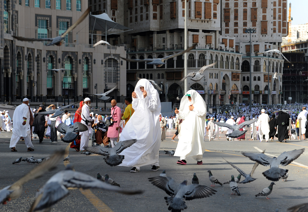 (Fayez Nureldin/ Getty Images)