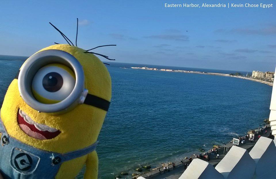 easternharboralex