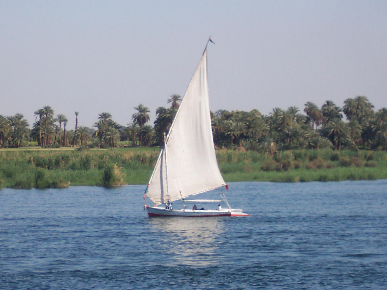 felucca
