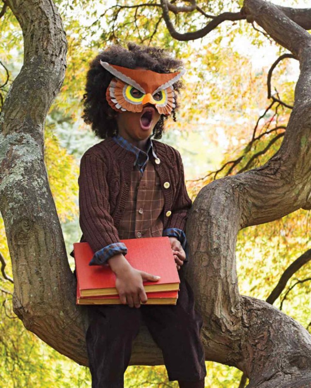 mld104574_1009_owl_intree_hd