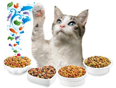 cat food