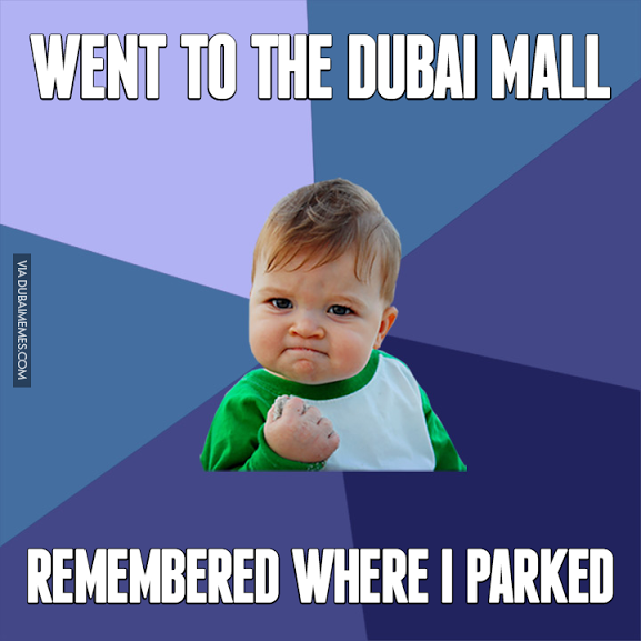 dubaimeme8