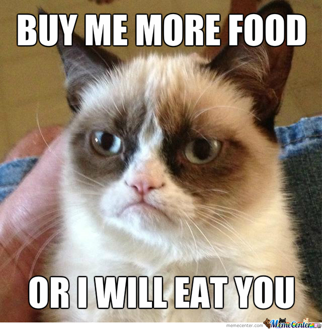 buy-me-more-food_o_1615949 (1)