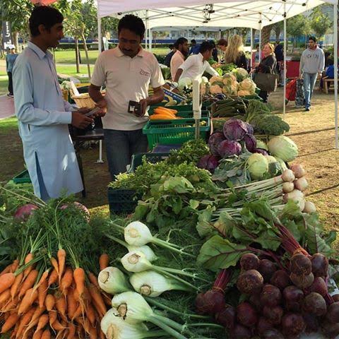 ec8cb5a9-4158-4d98-97bc-fcd00d36f7f8