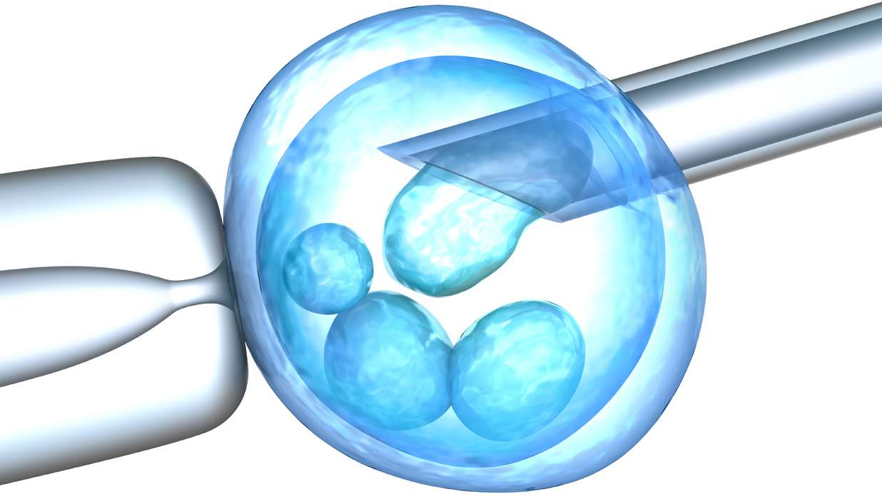 freezing-eggs