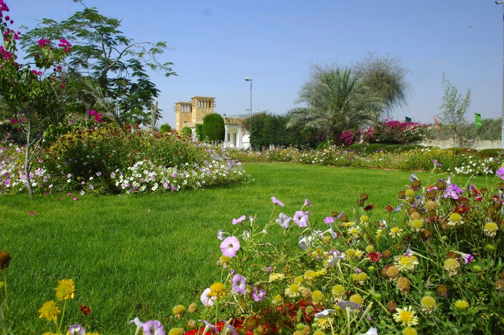 saqr