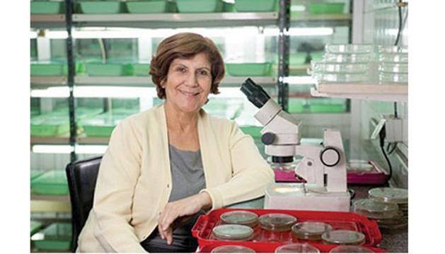 12592644_986986574729123_1088165496708118426_n