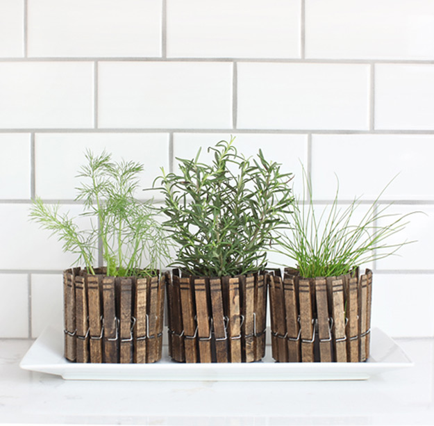Indoor-Herb-Garden-Ideas-DIY-Clothespin-Herb-Planters