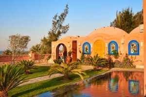 11056635_940227462730136_1900455730031005062_n