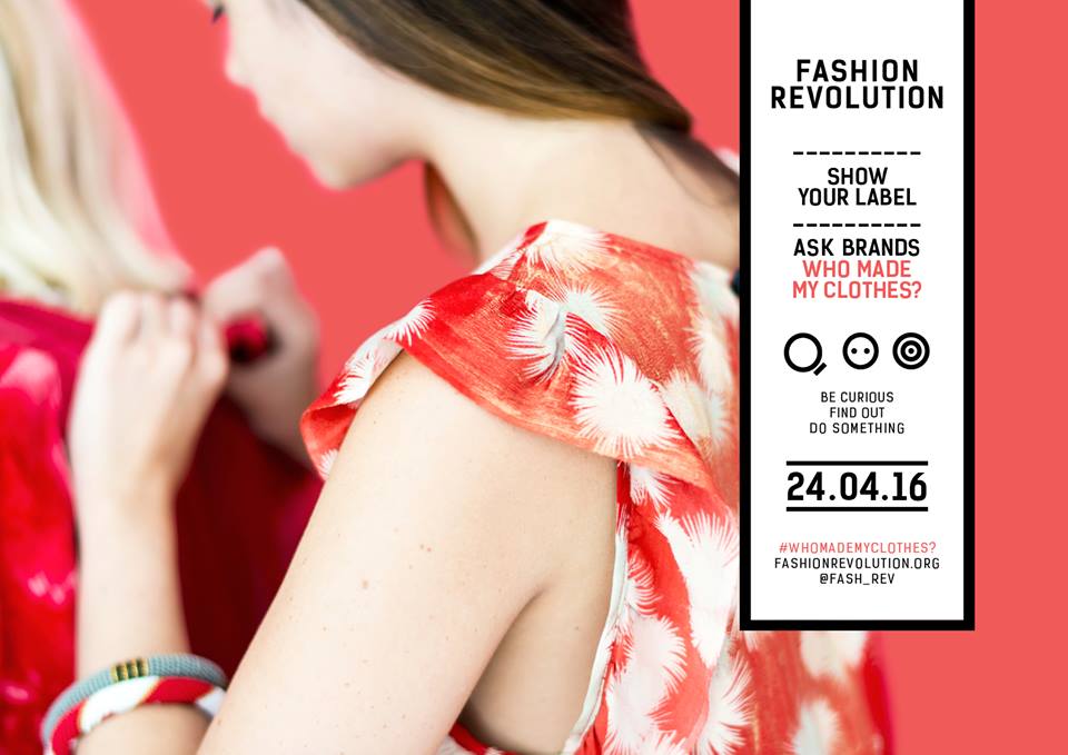 12495115_509682062532839_7661961890876556851_n