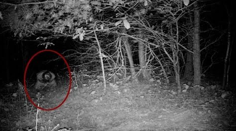 8 Real Horror Stories from Dubai that Will Keep You Up at Night