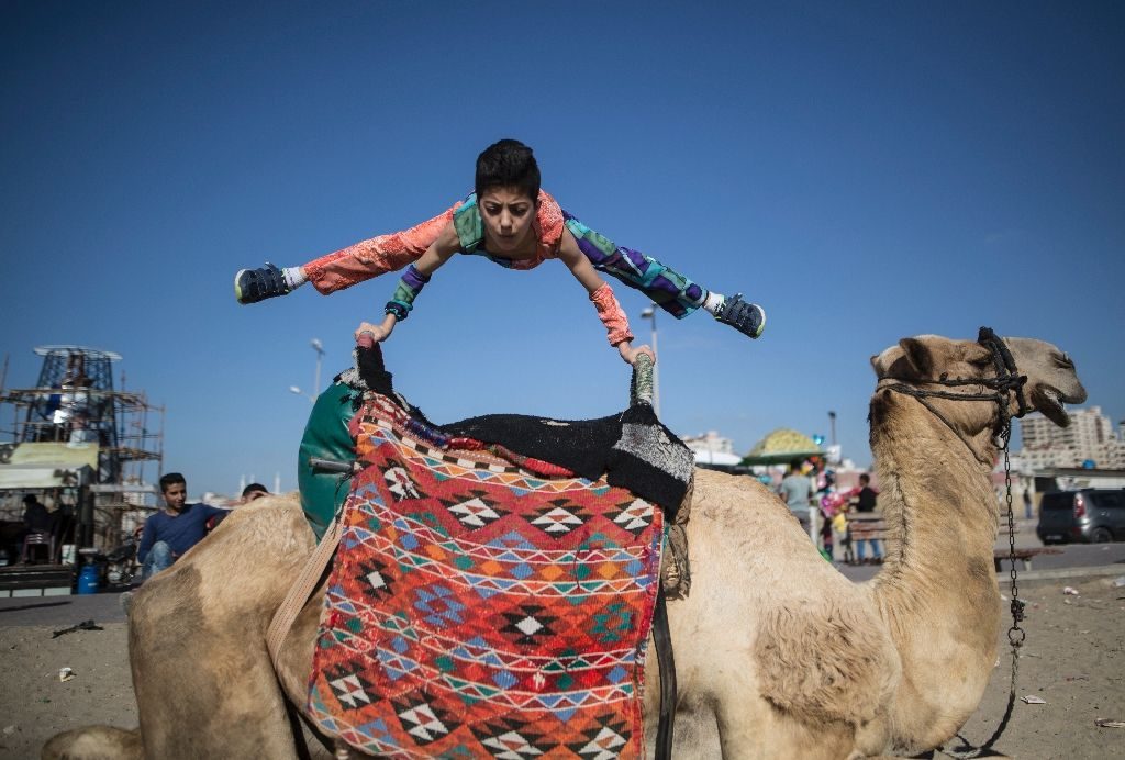 Your Friendly Neighborhood ‘Gaza Spiderboy’ Seeks to Set a New Guinness World Record
