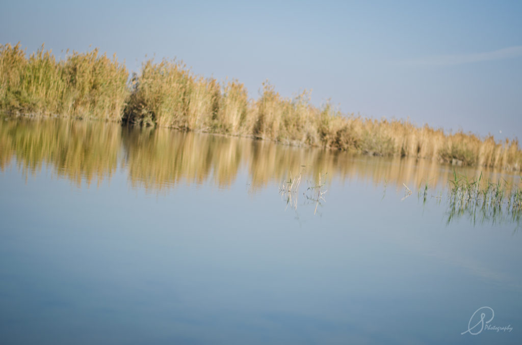 01 fayoum