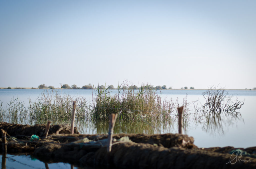08 fayoum
