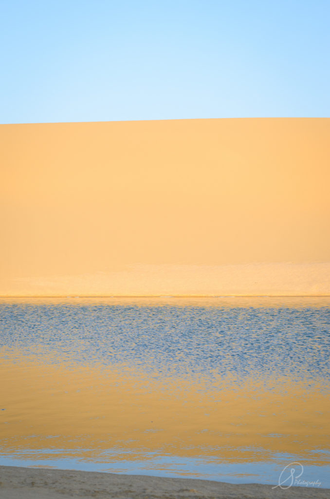 10 fayoum