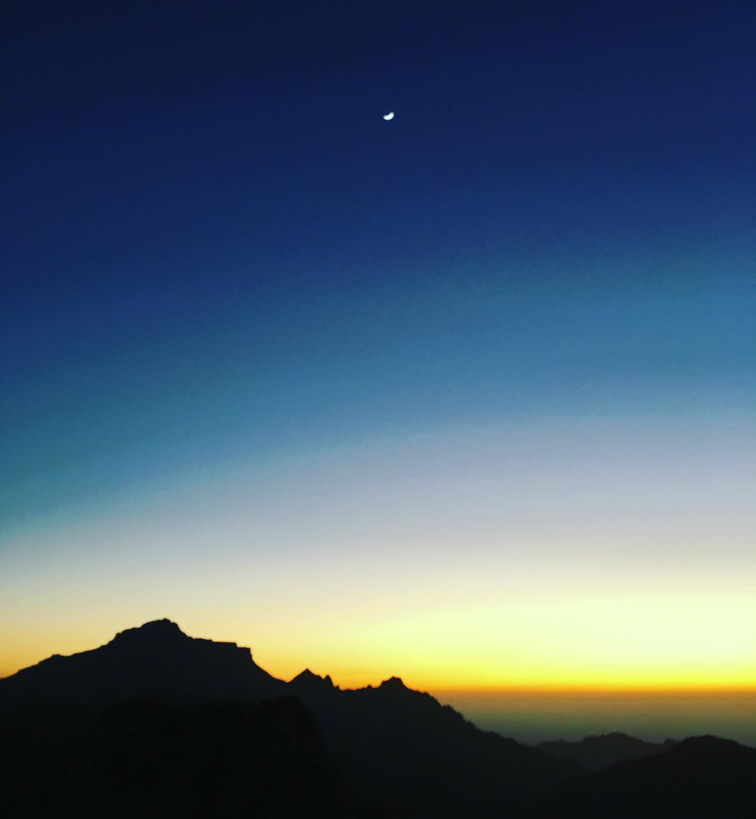 12547153_1558531894471854_701072375_n