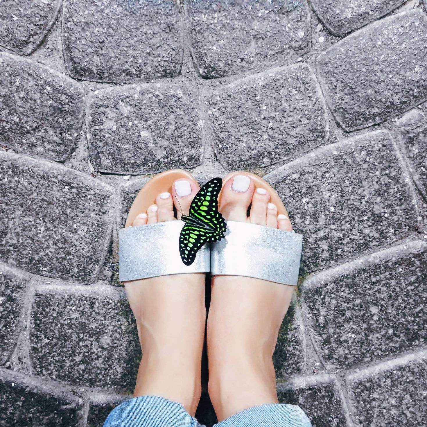 13383362_10156996433985483_516727411_o