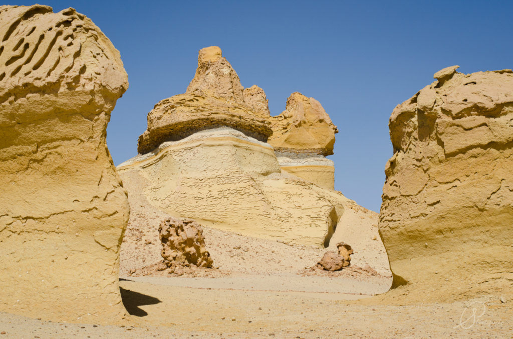 16 fayoum