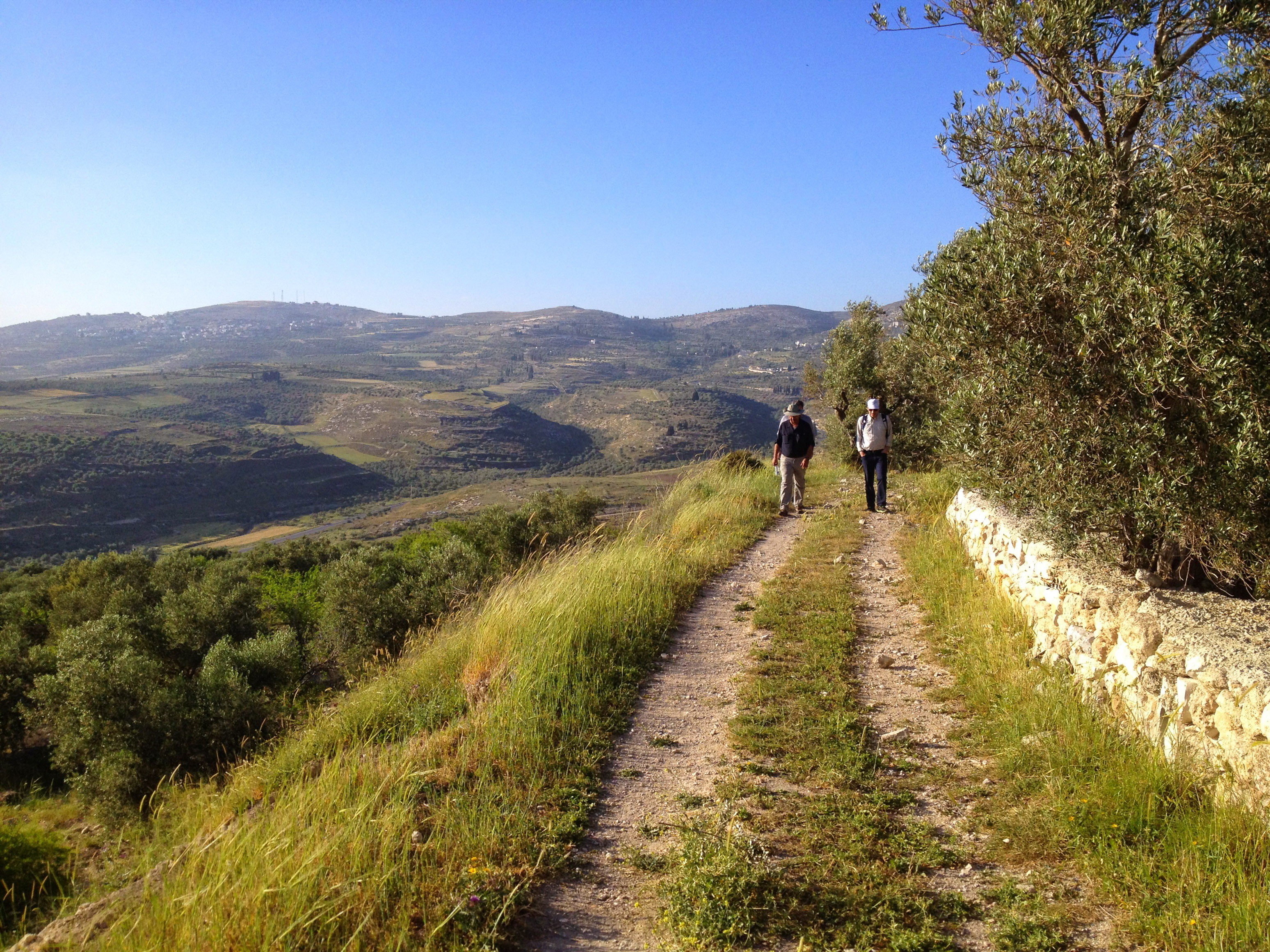 api-board-trip-jenin-gilboa-ajloun-david-land4in2jordan29