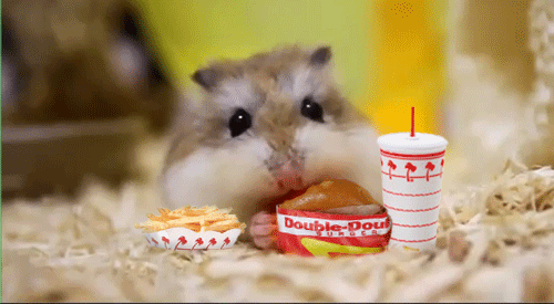 in n out