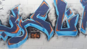 13892155_1175156442504960_2509737792606223967_n