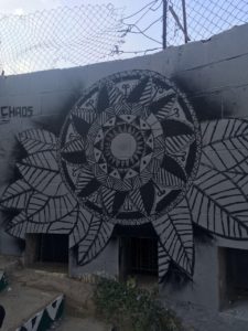 13914133_1175156539171617_209749834349290118_o