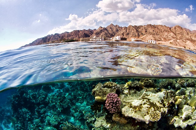 (naturesinai)