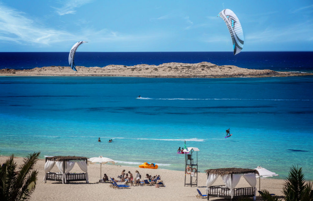 SIGNATURE KITE IMAGE