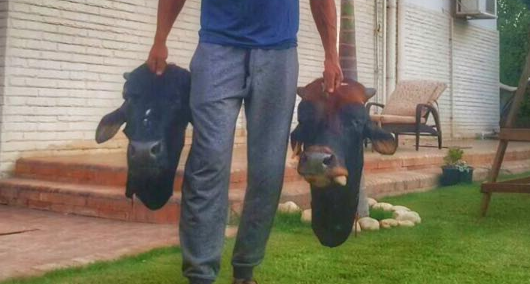 We Asked Foreigners What They Thought of This Mohamed Ramadan Picture, Here’s What They Said