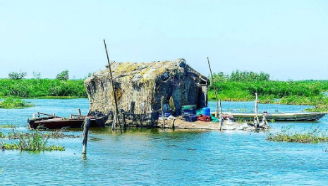 These Beautiful Pictures Will Make You Want to Visit Kafr El-Sheikh