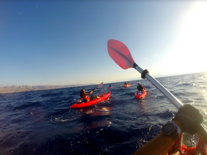 Via Egyptian Who Travels.