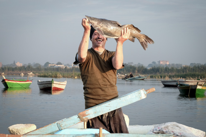 qanaaaaaaaaaaaaaaaaaaaaaaaaaaaaaaa