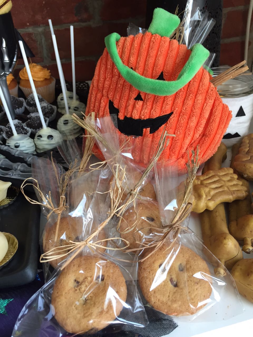 14895414_10157685240490182_917605055_o