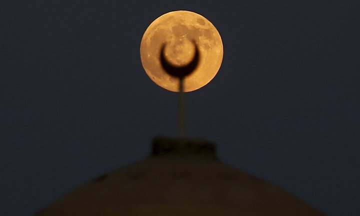 Via Guardian