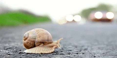 Via Gif Sec