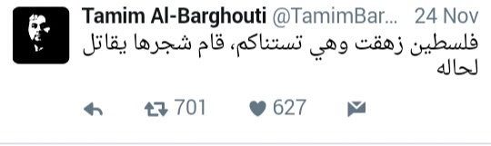 15226574_592510107615640_1107337252_n