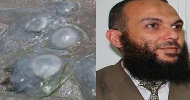 Salafi Preacher Says Eating Jellyfish Is Halal and We’re Kind of Saying ‘Duh’