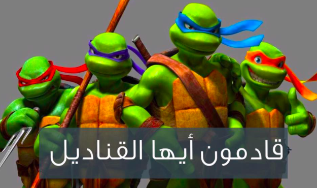 Egyptians Hilariously React to Sending Turtles to Eat Sahel’s Jellyfishes
