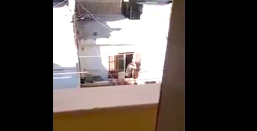 Footage of a Man Torturing Dog in Alexandria Goes Viral