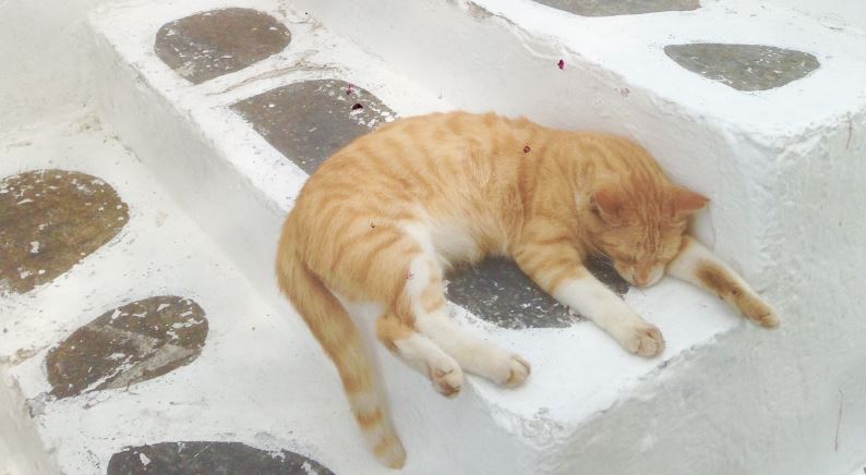 How to Fix Your Life And Stop Thinking You’re A Louse: A Study Based on Translated Directions From Your Favorite Author