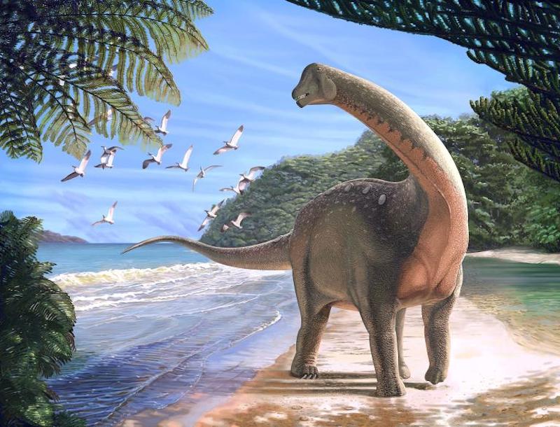A New Species Of African Dinosaurs Discovered in Egypt