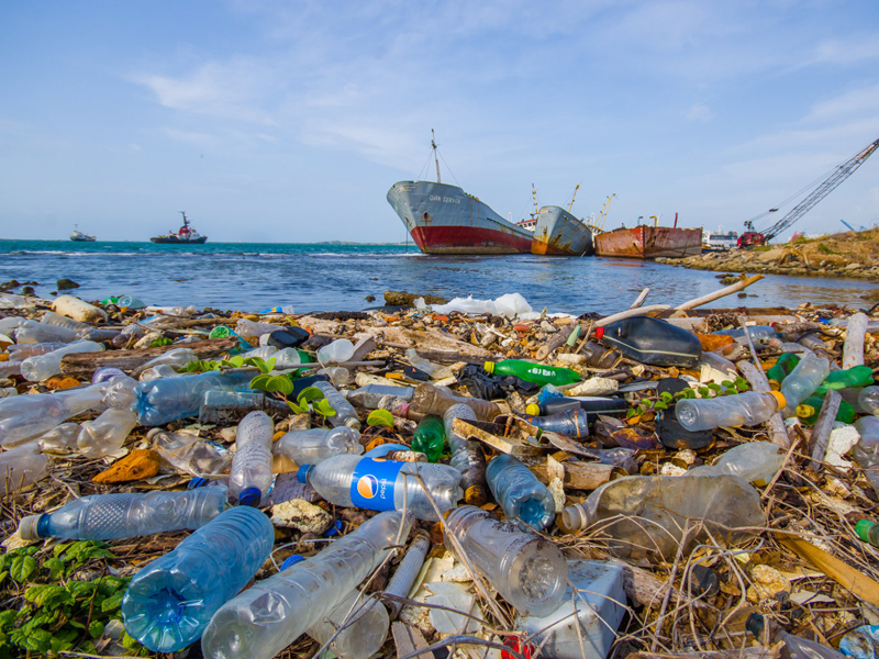 Greenish Starts a New Eco-Friendly Project to Reduce Plastic Wastes in the Red Sea