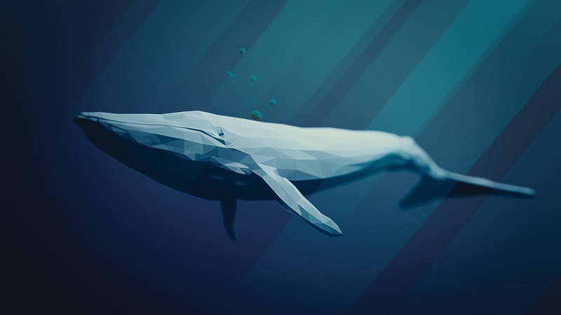 Blue Whale Web Game Strikes Again in Egypt Leaving One Severely Injured and Two Dead!