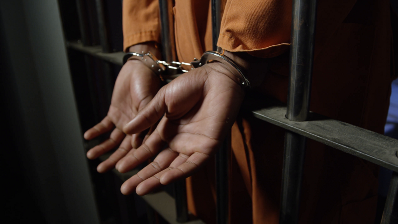 Egyptian Man Arrested for Verbally Harassing a Woman Over WhatsApp!