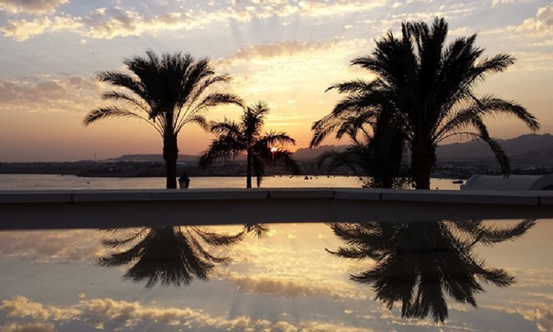Sharm El-Sheikh Preps For The World Art Youth Forum In October and Here’s A Look Back At Last Year’s!